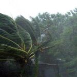 প্রবল ঘূর্ণিঝড়ে লন্ডভন্ড কদমতলা ব্লকের একাধিক গ্রাম, ব্যাপক ক্ষয়ক্ষতি, সরকারি সাহায্যের আশ্বাস