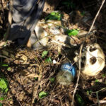 গভীর জঙ্গল থেকে নর কঙ্কাল উদ্ধার