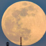 āĻĒā§āϰāĻĨāĻŽ āĻāύā§āĻĻā§āϰāĻā§āϰāĻšāĻŖ āĻāĻ, āϏā§āϤāĻ āĻāĻžāϞ⧠āĻŽāύā§āĻĻāĻŋāϰ āĻŦāύā§āϧ; āĻĒā§āϰā§āĻšāĻŋāϤāĻĻā§āϰ āϧāϰā§āĻŽā§ā§ āύāĻŋāϰā§āĻĻā§āĻļāĻŋāĻāĻž āĻāĻžāϰāĻŋ