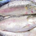 দূর্গাপুজোর আগে ভারতে ইলিশ উপহার, তবে রফতানিতে কাটছাঁট বাংলাদেশের