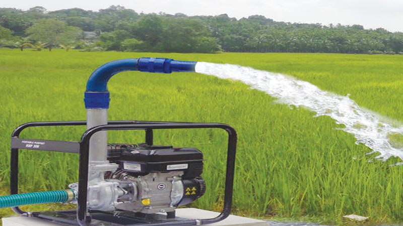 Cable Theft Of Pump Machine:পাম্প…