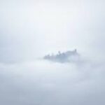 দিল্লি ও প্রয়াগরাজে কুয়াশা, মধ্য ও পূর্ব ভারতে তাপমাত্রা বৃদ্ধির পূর্বাভাস