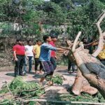রবিবারের ঝড়ে গোটা রাজ্যে মোট ৭৯২টি বসতঘর ক্ষতির সম্মুখীন, মৃত্যু ২ জনের