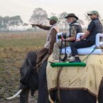 নতুন মাত্রা লাভ বিশ্ব ঐতিহ্য কাজিরঙা জাতীয় উদ্যানের, নৈসৰ্গিক সৌন্দর্যে বিলীন প্রধানমন্ত্রী