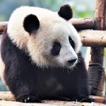 blog-4