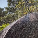 ভারী বৃষ্টিতে জলমগ্ন কর্ণাটকের কারওয়ার, মৃত এক, নিখোঁজ ৭