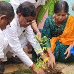 ১৪ নং ওয়ার্ডে বৃক্ষরোপণ কর্মসূচি