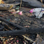 গণ্ডাছড়ায় তিনটি দোকান আগুনে পুড়ে ছাই, ব্যবসায়ীদের দাবি নাশকতা, জেলা শাসক জানিয়েছেন শর্ট সার্কিট থেকে আগুনের সূত্রপাত