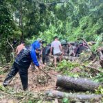 জাতীয় সড়কে যুদ্ধকালীন তৎপরতায় ধ্বস সরানোর কাজ শুরু