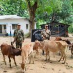 পৃথক পৃথক অভিযানে সাফল্য পেল বিএসএফ