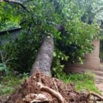 প্রবল বর্ষণ, শান্তিরবাজার মহকুমার কালাছড়া এলাকায় একাধিক ঘর ক্ষতিগ্রস্ত 