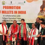 কৃষকদের আয় বৃদ্ধি ও সুস্বাস্থ্যের জন্য অন্যতম ভরসা মিলেট