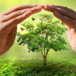 টিএসআর প্রথম ব্যাটেলিয়ানের উদ্যোগে বৃক্ষরোপণ কর্মসূচী অনুষ্ঠিত