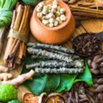 আয়ুর্বেদ দিবস ২০২৪ : বিশ্ব স্বাস্থ্যের জন্য আয়ুর্বেদ উদ্ভাবন ভূমিকা