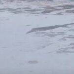 রবিবারও কালিন্দী কুঞ্জে যমুনার জলে ভেসে বেড়াতে দেখা গেল বিষাক্ত সাদা ফেনা