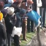 যমুনা বক্ষে অস্থি বিসর্জন প্রাক্তন প্রধানমন্ত্রীর