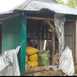 দক্ষিণ ঘিলাতলীতে বন্য দাঁতাল হাতির তাণ্ডব: ধান ও ঘরবাড়ি নষ্ট