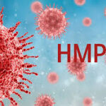 কর্ণাটকে দু’জনের শরীরে এইচএমপি ভাইরাসের হদিশ, নজর রাখছে আইসিএমআর