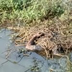 পুকুর থেকে এক যুবকের মৃতদেহ উদ্ধার