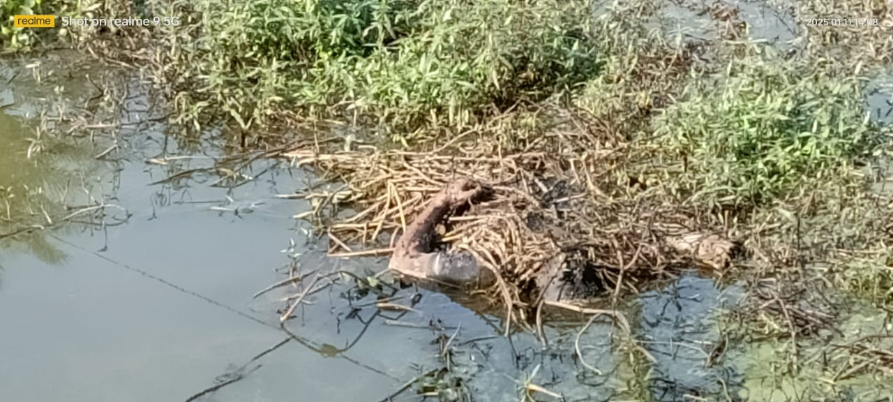 পুকুর থেকে এক যুবকের মৃতদেহ…