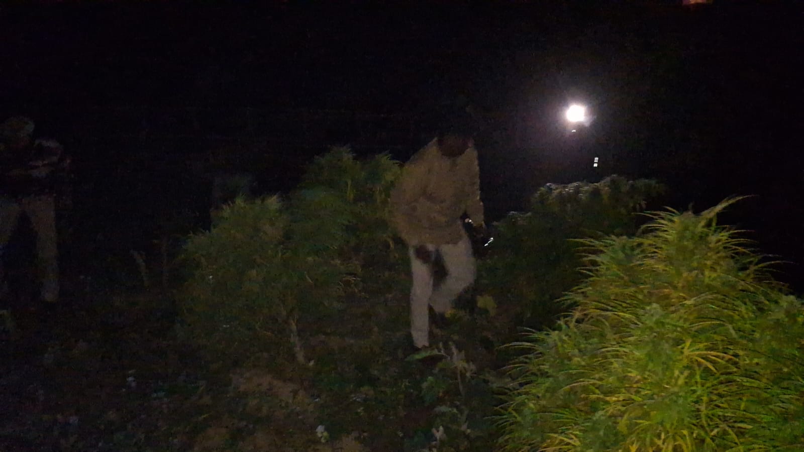 নেশা বিরোধী অভিযানে তিন লক্ষাধিক&hellip;