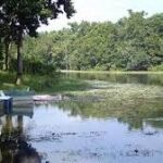 সর্বাত্মক চেষ্টা সত্ত্বেও, পর্যটন খাতে কিছু ত্রুটির ছাপ