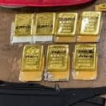 মুম্বই বিমানবন্দর থেকে ৭ কেজির বেশি সোনা-সহ হেফাজতে তিন বিদেশি