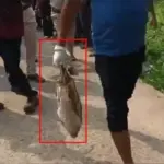 দুসপ্তাহ বাদে বামনগাছির ডোবায় তল্লাশি চালাতেই পাওয়া গেল কাটা মুন্ডু