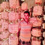 মাশরুম চাষে দৃষ্টান্ত দ্বারিকা পুরের বাবুল দাস