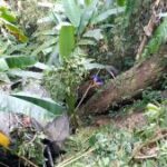 কাঞ্চনপুরে যাত্রীবাহী কমান্ডার গভীর খাদে পড়ে, ২ শিশু সহ ৪ জন গুরুতর আহত