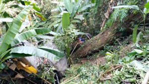 কাঞ্চনপুরে যাত্রীবাহী কমান্ডার গভীর খাদে&hellip;