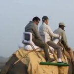 হাতির পিঠে চেপে কাজিরাঙা ঘুরলেন জয়শঙ্কর, বললেন দারুণ অভিজ্ঞতা