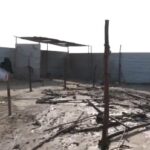 মহাকুম্ভে ফের আগুন, এবার চাঞ্চল্য ছড়ালো সেক্টর ৮-এ