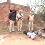 পঞ্জাবে এনকাউন্টারে দুই দুষ্কৃতী জখম, আগ্নেয়াস্ত্র ও গোলাবারুদ উদ্ধার