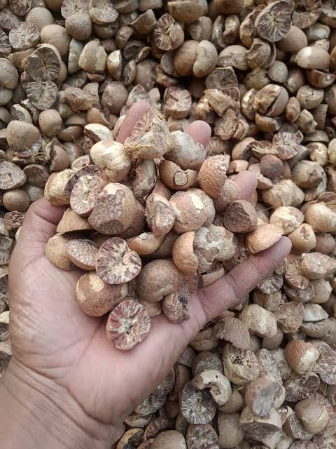 চোরা পথে বার্মিজ সুপারি রাজ্যে প্রবেশ করছে, বিপদ ডেকে আনছে বাগান চাষীদের