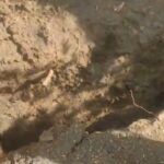 গুজরাটের জুনাগড়ে কুয়োয় পড়ে গেল শিশু, উদ্ধারকাজ জারি