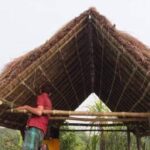 কালের বিবর্তনে হারিয়ে যাচ্ছে গ্রামীণ ঐতিহ্যের ছন কিংবা ছাউনির ঘর