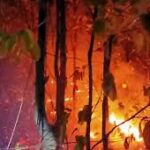 আগুন জ্বলছে আউশগ্রামের জঙ্গল, বন্যপ্রাণ নিয়ে উদ্বেগ