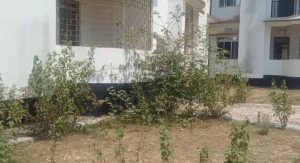 উরমাই প্রাথমিক স্বাস্থ্যকেন্দ্রের বেহাল দশা,&hellip;