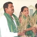 তেলেঙ্গানার কৃষকরা কষ্টের মধ্যে রয়েছেন, মন্তব্য কে কবিতার