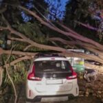 ধুলোঝড়ে বিপর্যস্ত দিল্লি; বিঘ্নিত উড়ান পরিষেবা, মৃত্যু একজনের