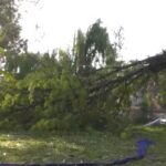 জম্মু ও কাশ্মীরে প্রবল বৃষ্টি, ১০টি জেলায় বিদ্যুৎ সংযোগ বিচ্ছিন্ন