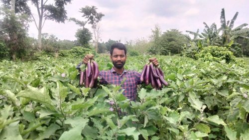 কৃষিতে দৃষ্টান্ত স্থাপন পশ্চিম ঘিলাতলীর&hellip;