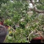 মেলা চত্বরে ভয়ঙ্কর ঘটনা থেকে অল্পেতে রক্ষা