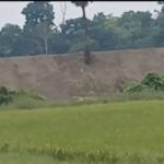 বাংলাদেশের বাঁধ নির্মাণের ফলে আতঙ্কগ্রস্ত বিলোনিয়াবাসী, ভারী বৃষ্টিপাতে বানভাসি হওয়ার আশঙ্কা