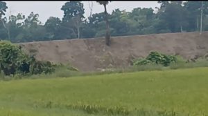 বাংলাদেশের বাঁধ নির্মাণের ফলে আতঙ্কগ্রস্ত বিলোনিয়াবাসী, ভারী বৃষ্টিপাতে বানভাসি হওয়ার আশঙ্কা