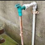 পানীয় জলের পাইপে মৃত সাপ