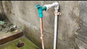 পানীয় জলের পাইপে মৃত সাপ