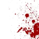 বৃষ্টির জল নিয়ে দুই পরিবারের রক্তক্ষয়ী সংঘর্ষে উত্তপ্ত চড়িলাম আড়ালিয়া, আহত ৩