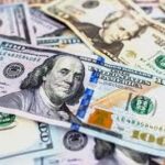 ভারতের বৈদেশিক মুদ্রা মজুদ বৃদ্ধি পেয়ে ৬৮৬.১৩ বিলিয়ন ডলারে পৌঁছেছে